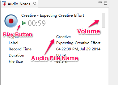 Audio Notes View